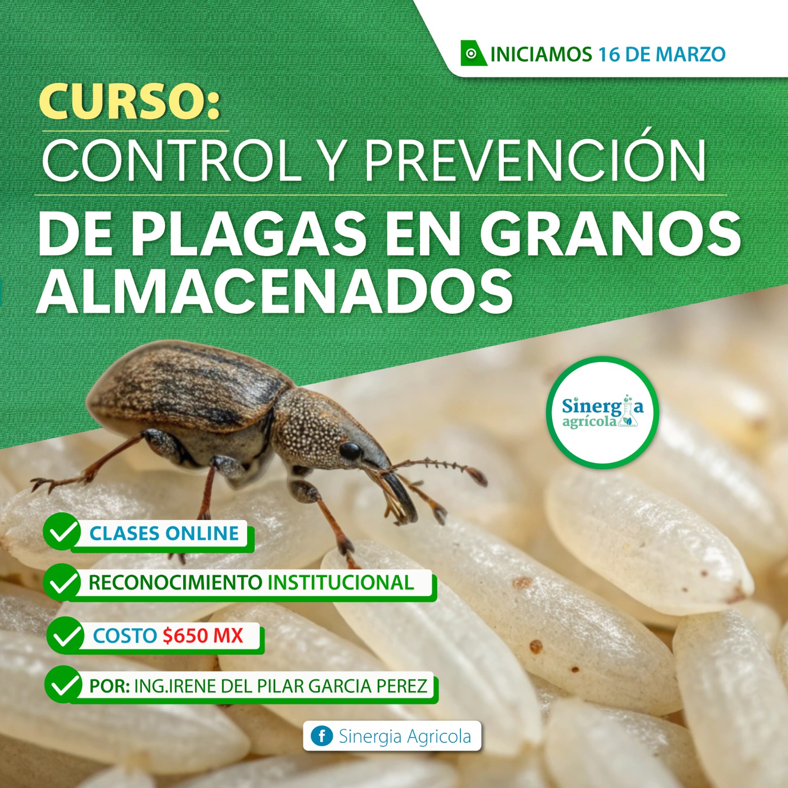 Flyer del curso Producción de Plántulas Forestales