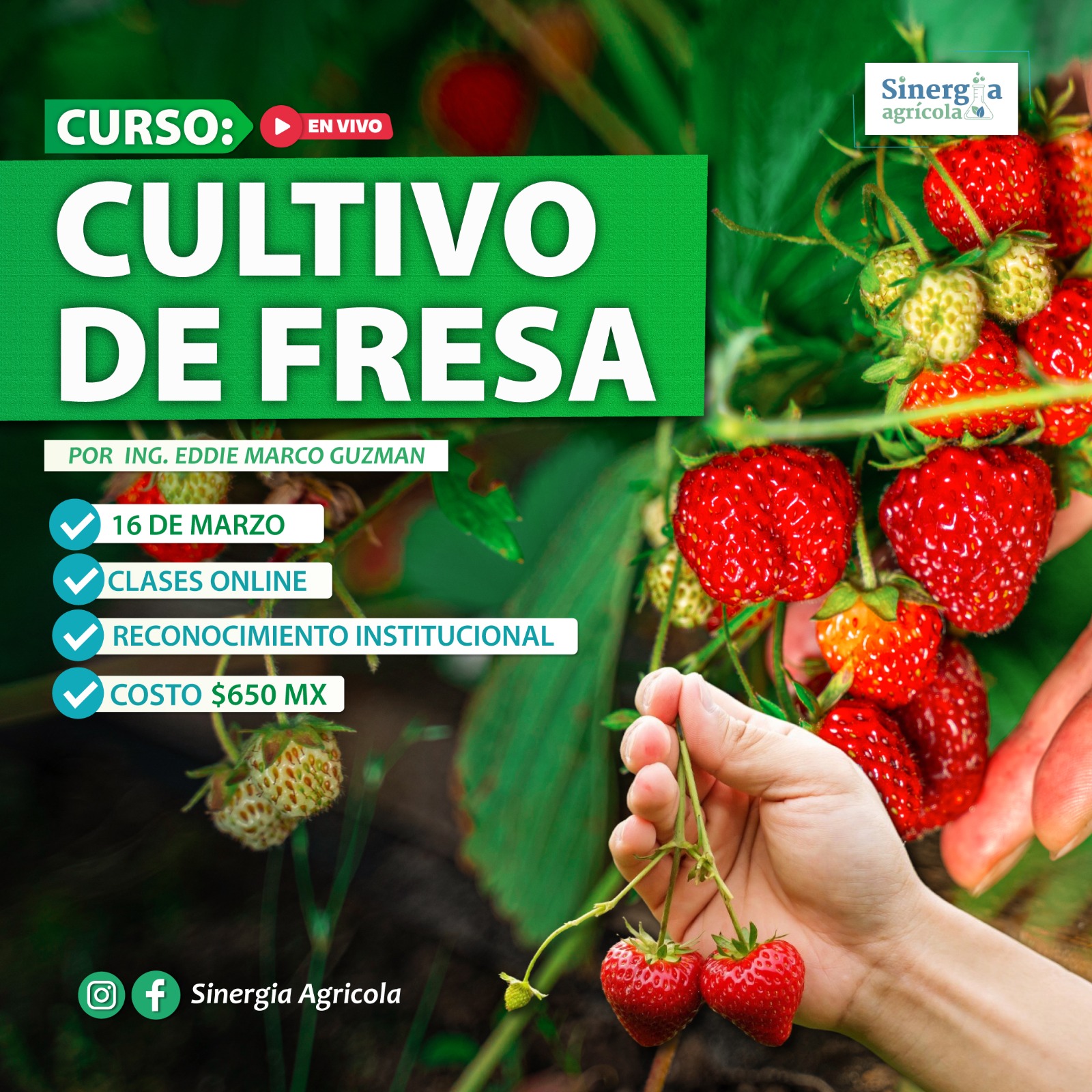 Flyer del curso Cultivo de Fresa