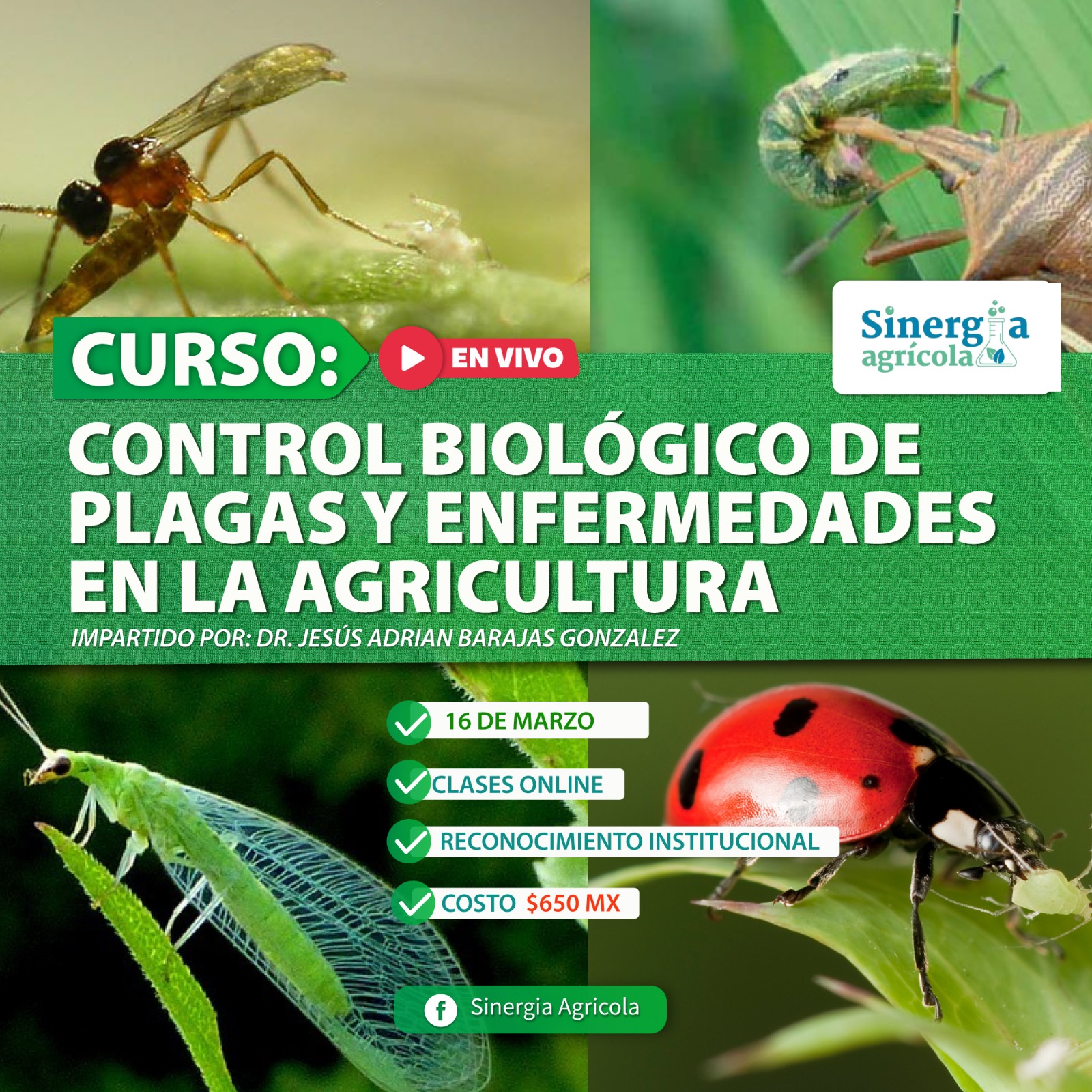 Flyer del curso Control Biológico de Plagas y Enfermedades en la Agricultura