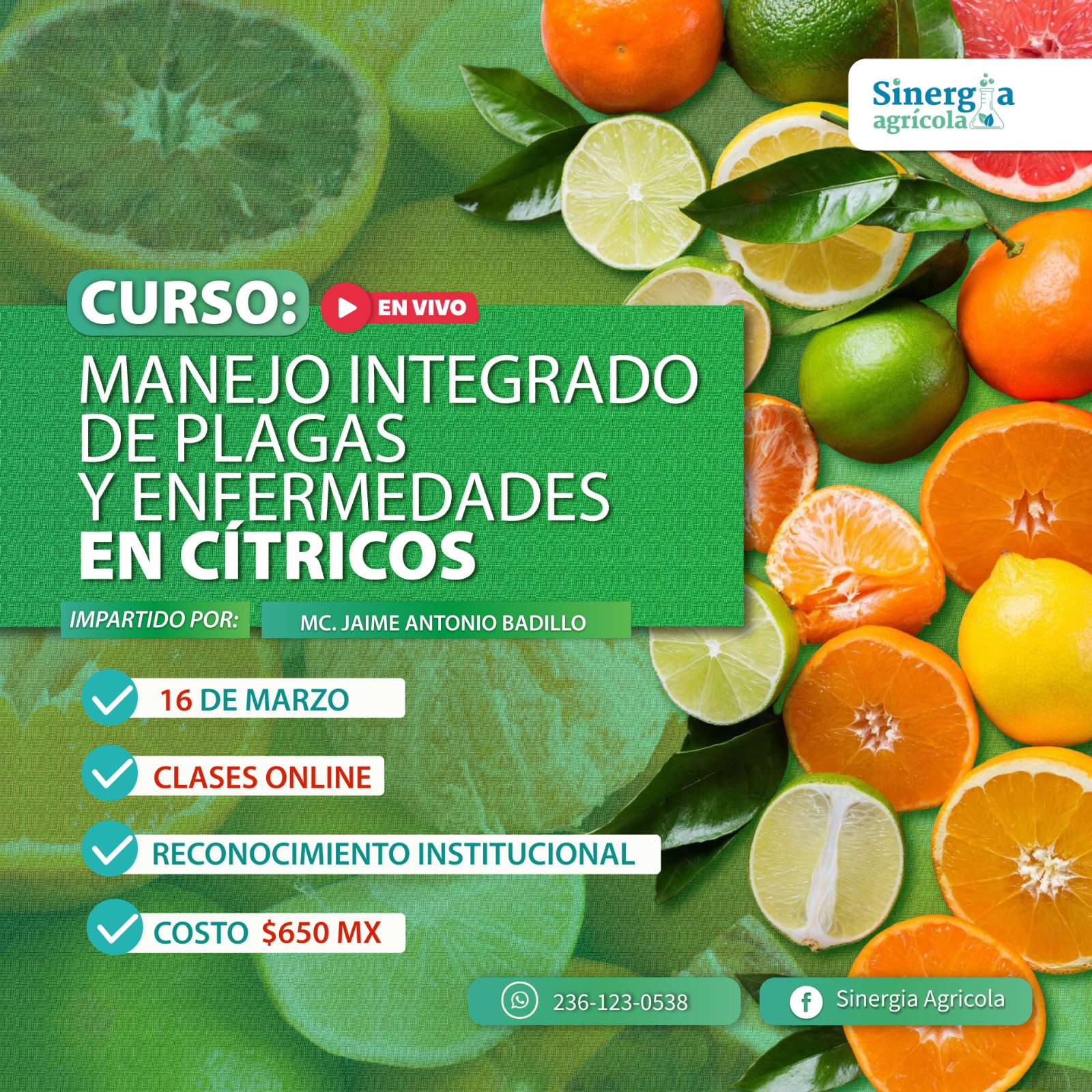 Flyer del curso Manejo Integrado de Plagas y Enfermedades en Cítricos