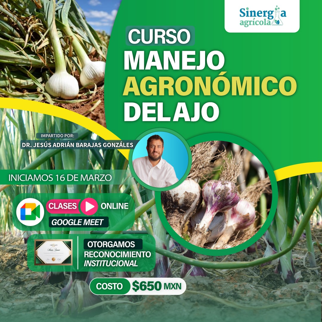 Flyer del curso Manejo Agronómico del Ajo