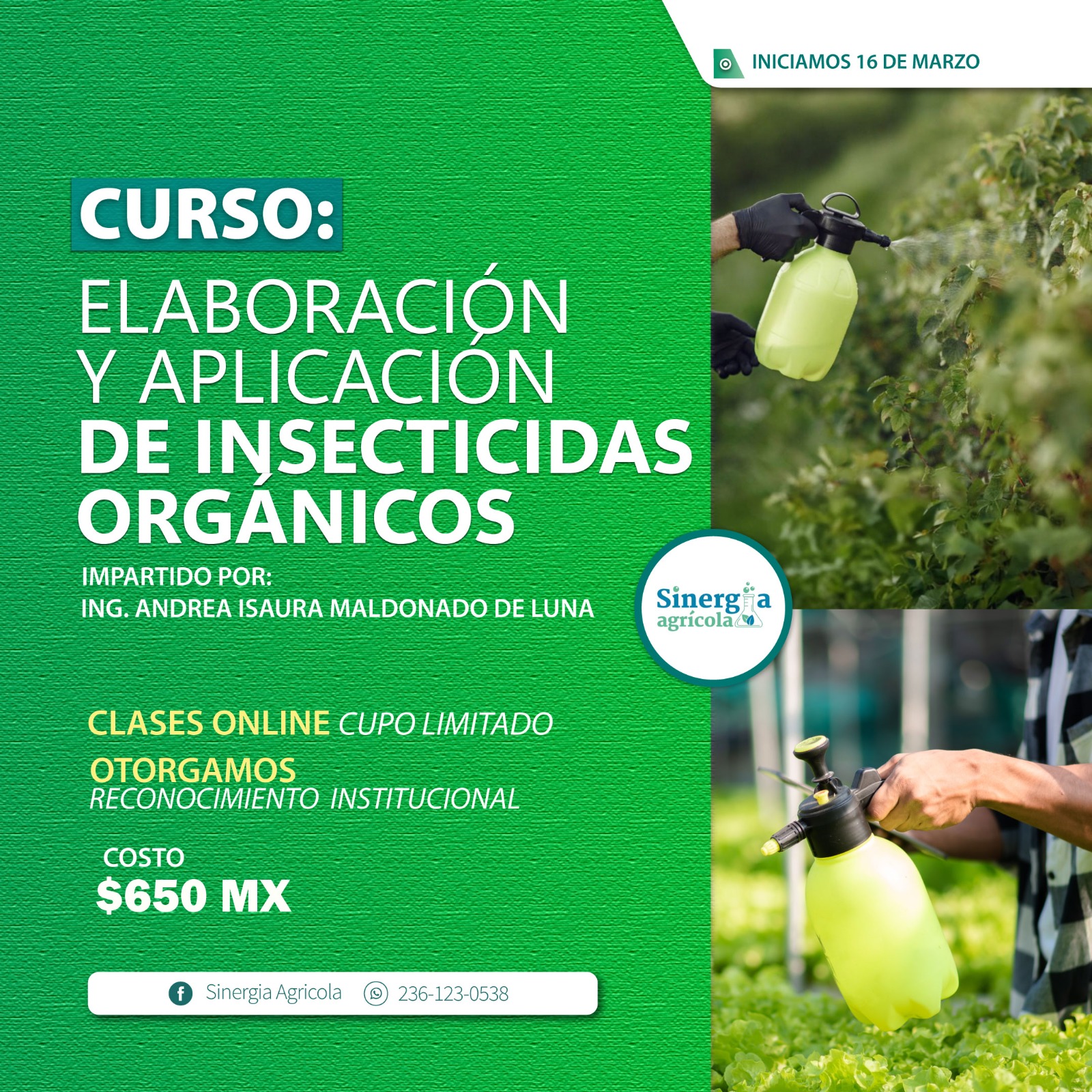 Flyer del curso Control y Prevención de Plagas en Granos Almacenados