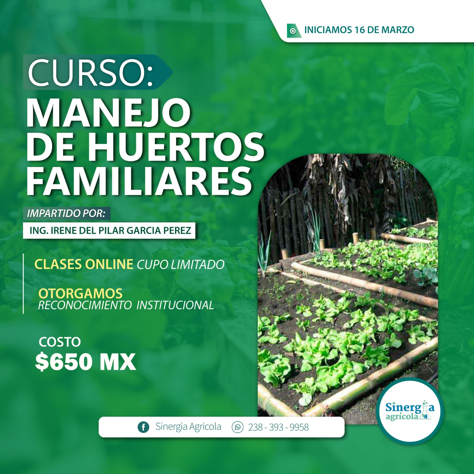 Flyer del curso Manejo de Nopal Verdura y Nopal Tunero