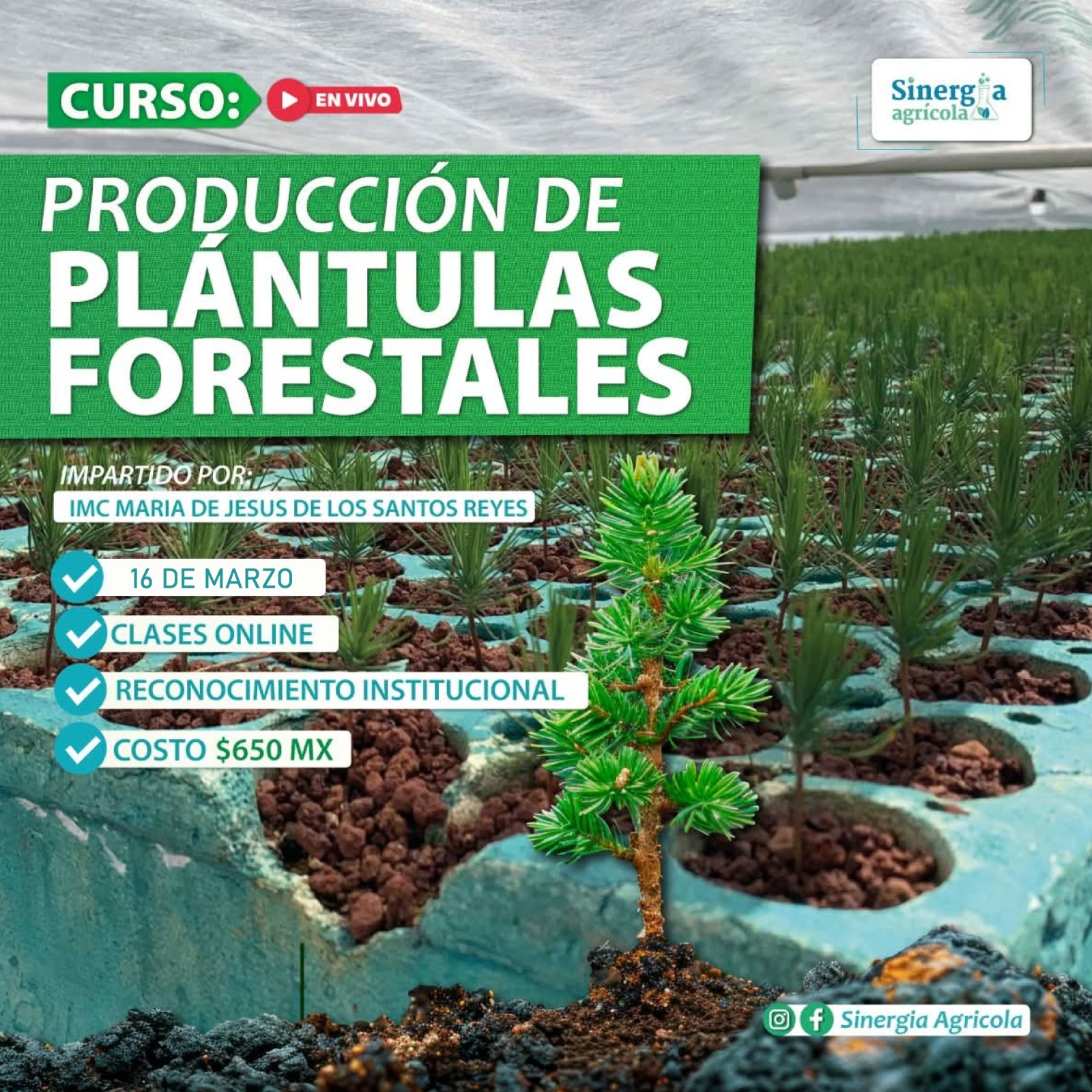 Flyer del curso Elaboración y Aplicación de Insecticidas Orgánicos